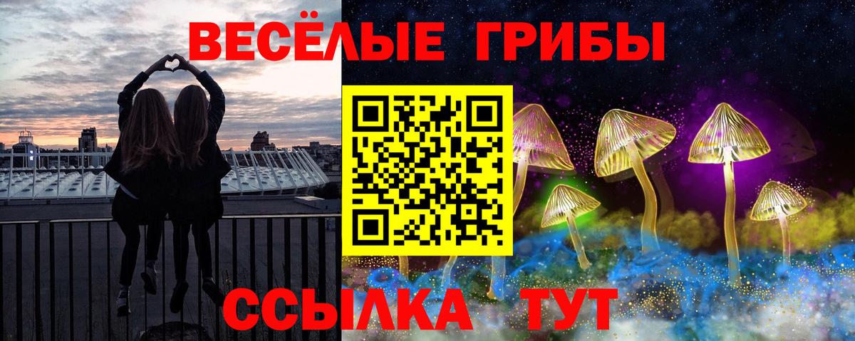 Псилоцибиновые грибы Cubensis  Вход с VPN  Елизово  Псилоцибиновые грибы мицелий 