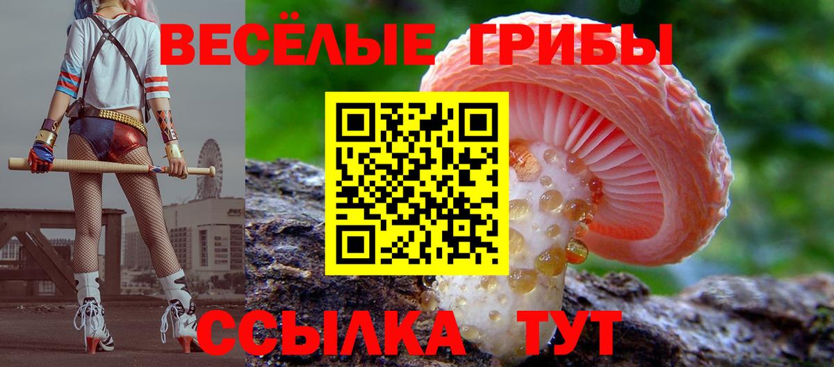 Псилоцибиновые грибы мухоморы Елизово